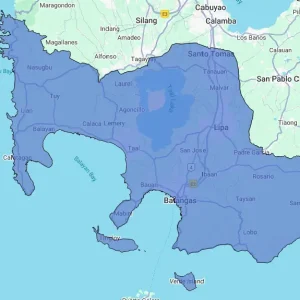 Consumer Behavior Report - Batangas Province