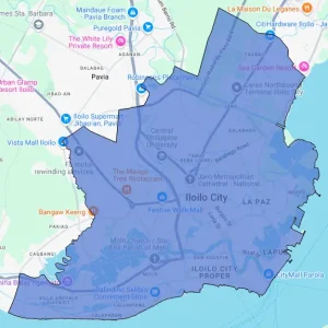 Consumer Behavior Report - Iloilo City