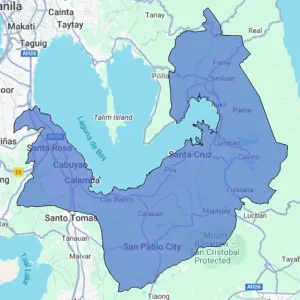 Consumer Behavior Report - Laguna Province