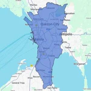 Regional Consumer Behavior Report - NCR (National Capital Region)