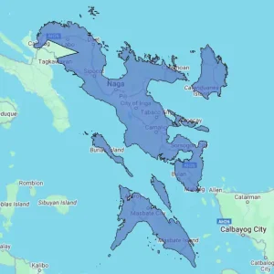 Regional Consumer Behavior Report - Region V (Bicol Region)