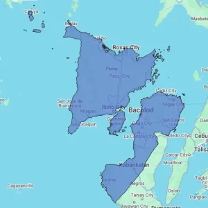 Regional Consumer Behavior Report - Region VI (Western Visayas)