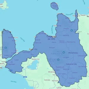 Regional Consumer Behavior Report - Region X (Northern Mindanao)