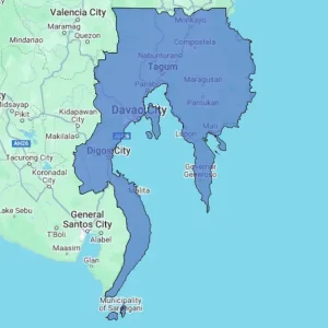 Regional Consumer Behavior Report - Region XI (Davao Region)